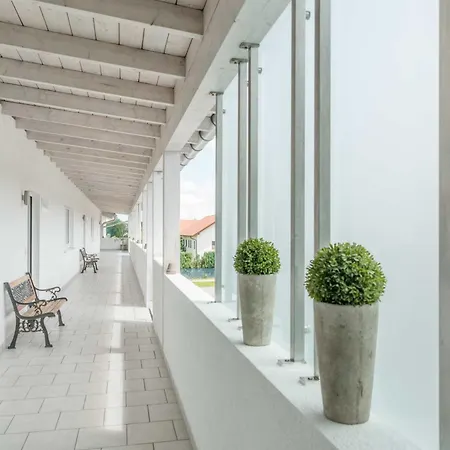 بنسيون فيس 3* Neufinsing